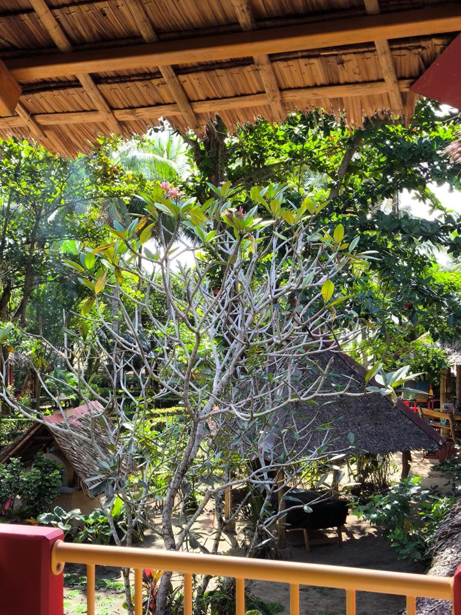 Sulu Sunset Beach Resort Nauhang Exterior foto